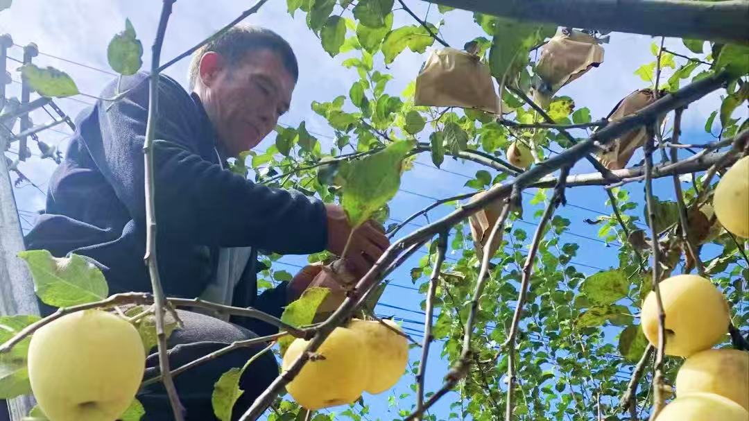 1761265915658022935.jpg f0271e1a2a6fa0307386d21c1745020b.jpg