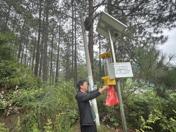 1719908445388098196.png 1719908443172045065.png