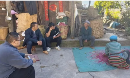 1763949628094032036.png 392d87d5-4c4b-4036-8471-980fea26907b.png