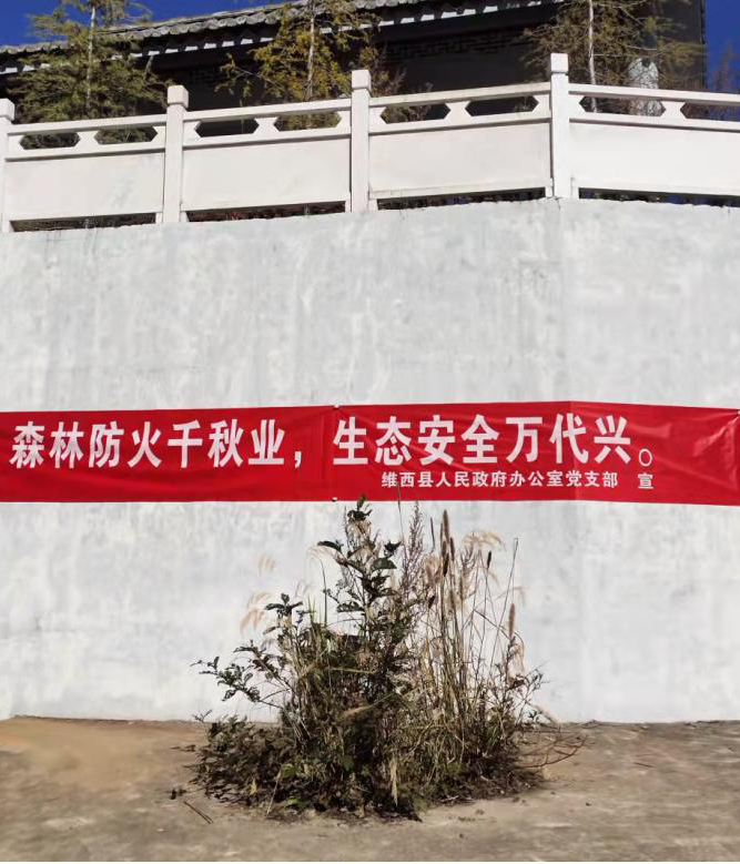 政府办2.png