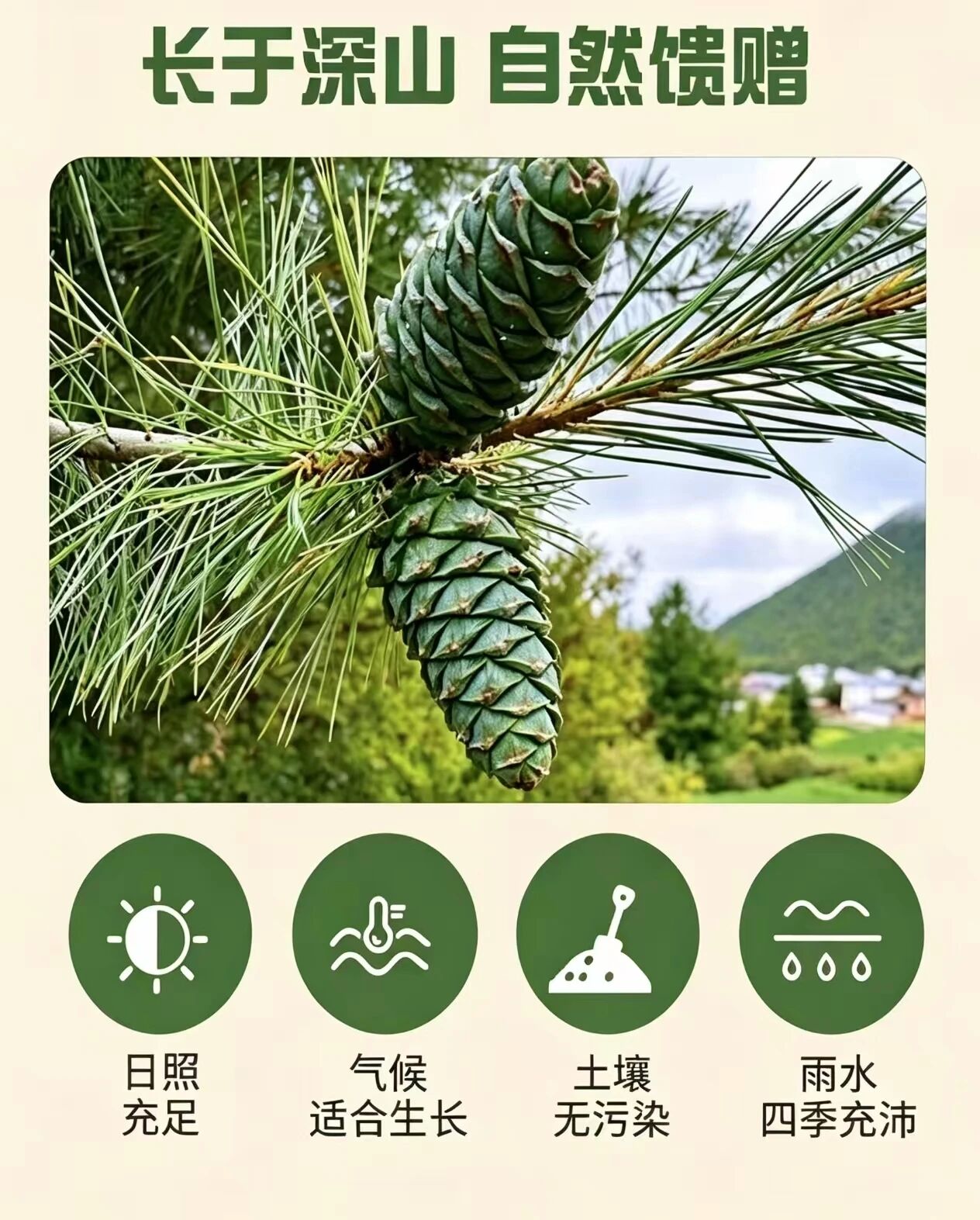 微信图片_2026-09-03_113611_487.jpg