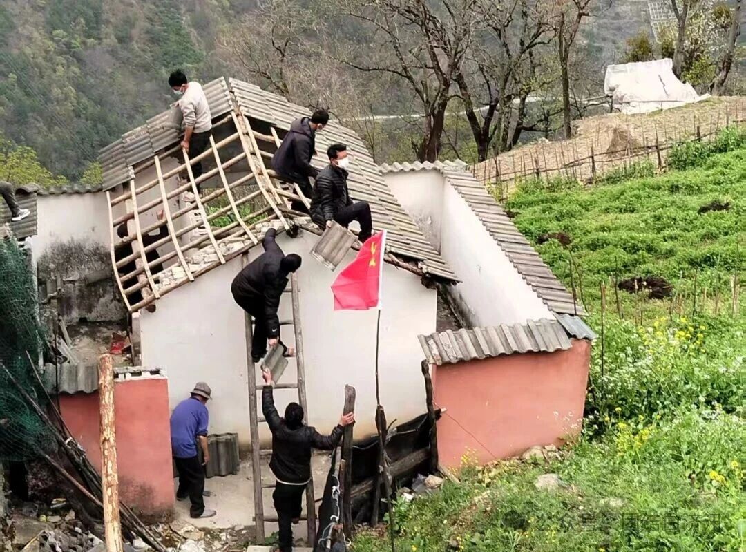 1775785818521083509.jpg 59bf9e4996b7b8ab373586beeba38df6.jpg