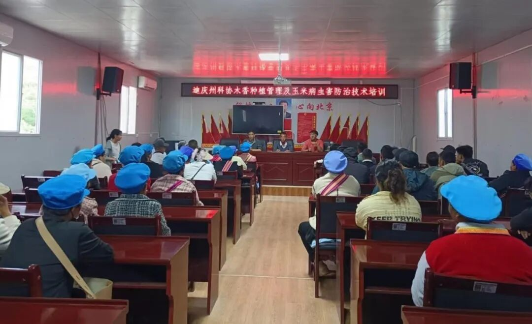 1781601378282058891.png 图片1.png